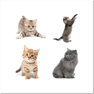 Awesome kitten cat love - cat lover pack Posters and Art